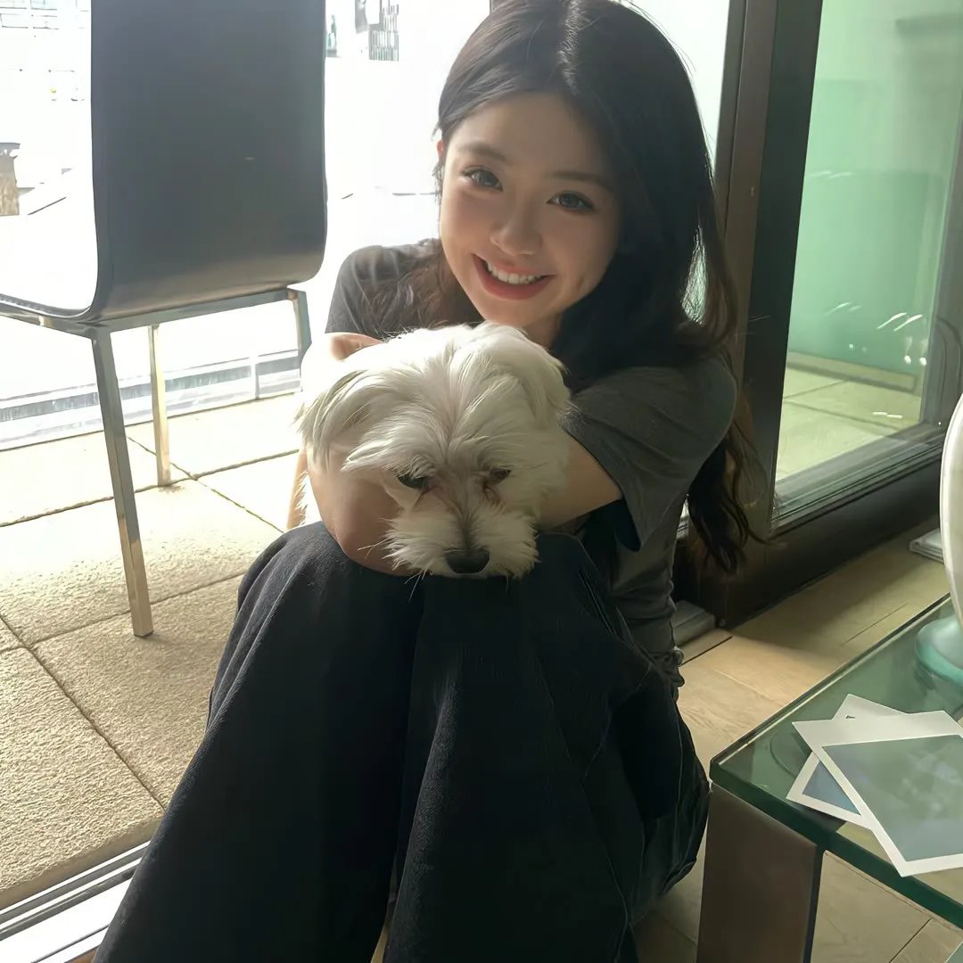 美国派3：美国婚礼